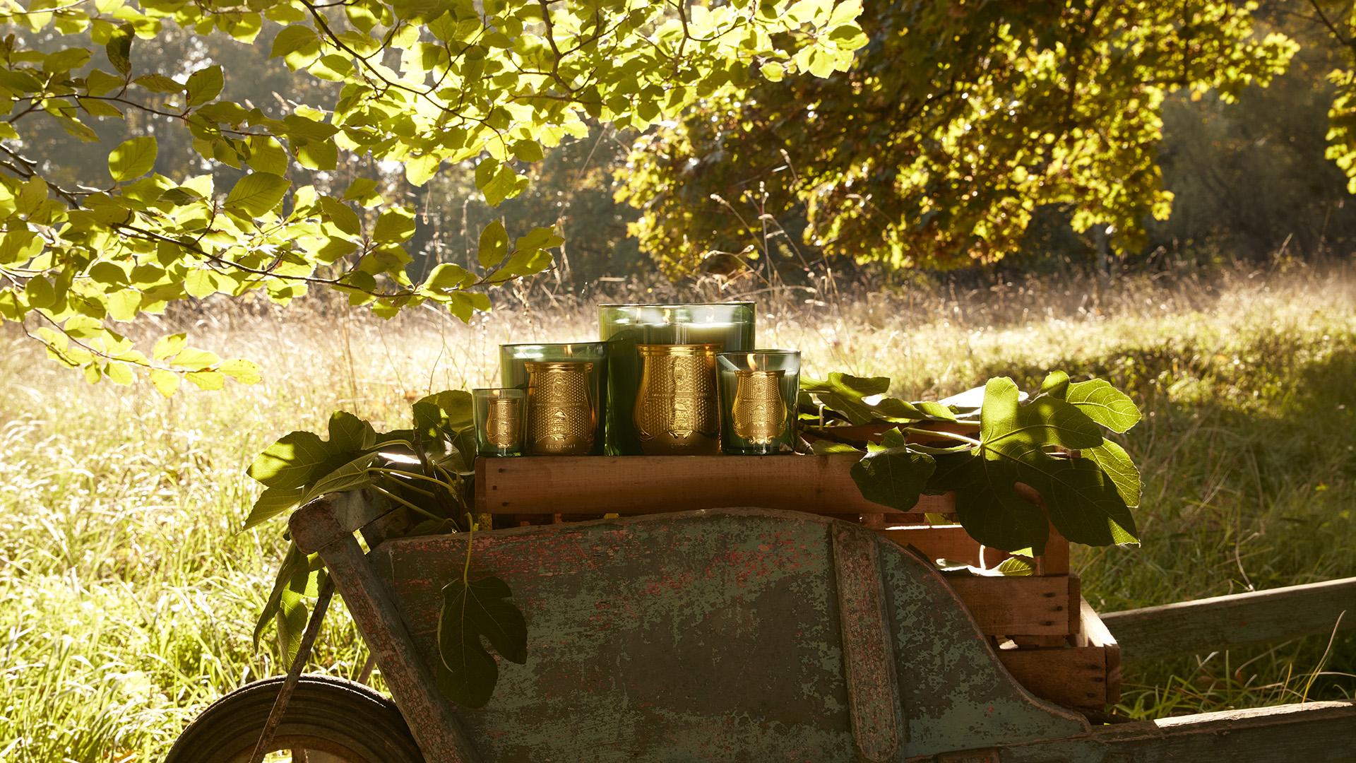 home_page_banner_desktop_1920x1080_mars_2026_-_0