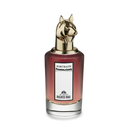 The Coveted Duchess Rose